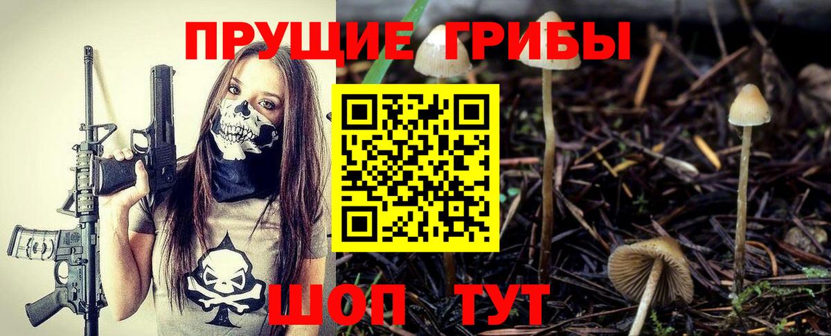 Псилоцибиновые грибы Psilocybe  Галлюциногенные грибы Psilocybe  Вход с VPN  Обь 